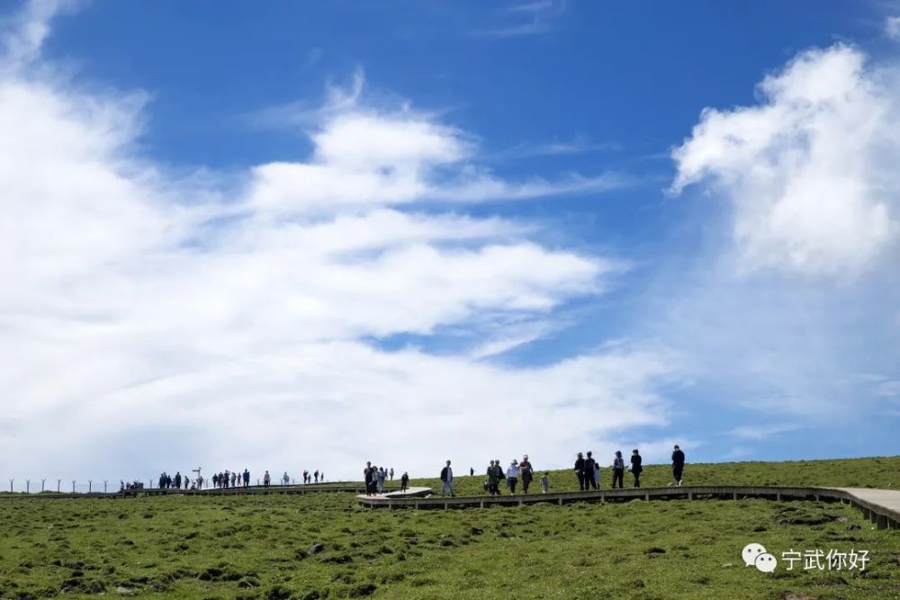 山西寧武:八月蘆芽山馬侖草原風和日麗涼爽宜人,迎來賈樟柯團隊拍攝