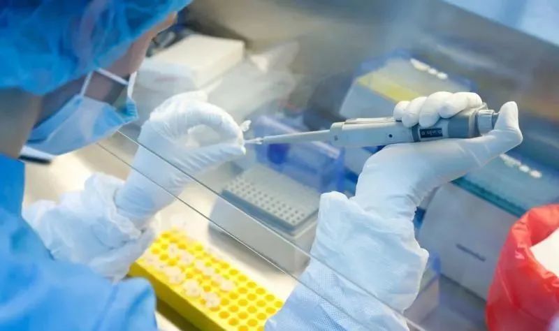 疫苗|新加坡惊现新冠病毒变异体！卫生部：医护人员和弱势病人将优先注射疫苗