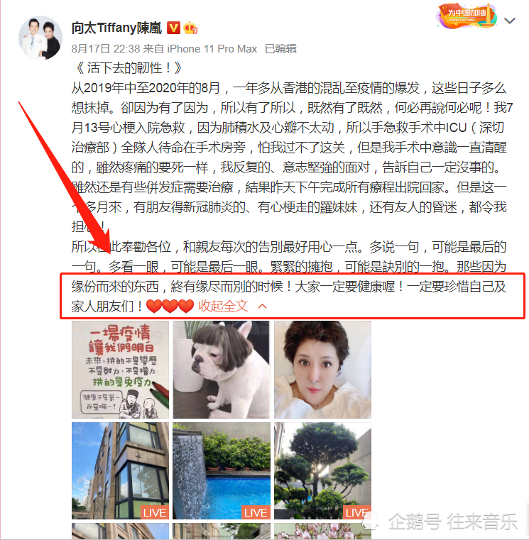 郭碧婷|向佐郭碧婷被曝婚变，婆婆向太终于松口？网友：坐等官宣！