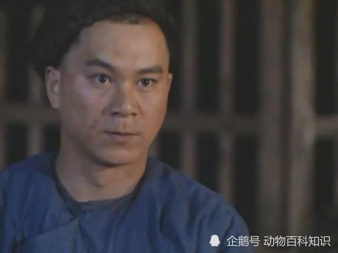 老十三|《雍正王朝》中十三爷，能控制丰台大营，这一切在康熙的计划之中