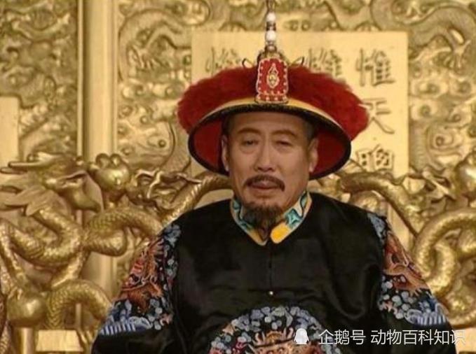 老十三|《雍正王朝》中十三爷，能控制丰台大营，这一切在康熙的计划之中