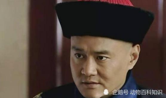 老十三|《雍正王朝》中十三爷，能控制丰台大营，这一切在康熙的计划之中