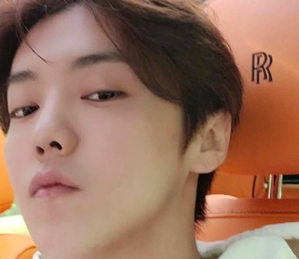 鹿晗|鹿晗怼脸自拍心情好，豪华座驾意外曝光，价格400万起步