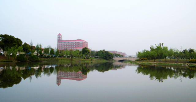 这4所大学被撤销,学生欲哭无泪,网友却有分歧|安徽长江职业学院|教育