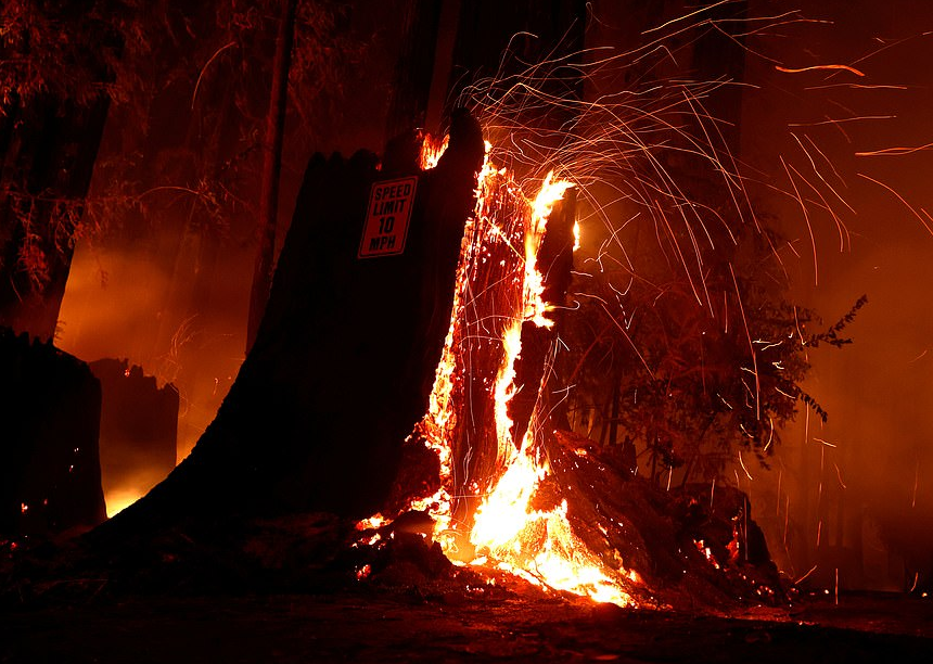 加州山火变地狱烈火!17.5万人被迫逃离家园,1.2万消防员被征召灭火_腾