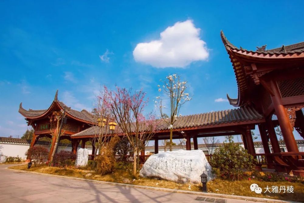 丹棱这三个公园开始pk啦,快来给你最喜欢的"园园子"打call