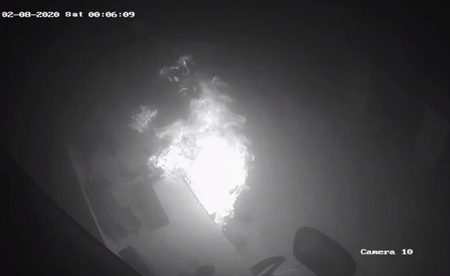 老鼠|印度一老鼠半夜乱窜导致整层办公室起大火，公司损失千万卢比