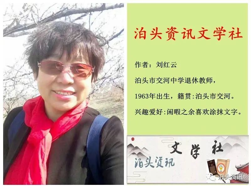 泊头资讯文学社|泊头资讯文学社“教师节”作品选：《亲亲，我的老师》一刘红云