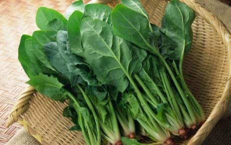 蔬菜|处暑过后，有哪些蔬菜还能播种？种菜的朋友要抓紧了