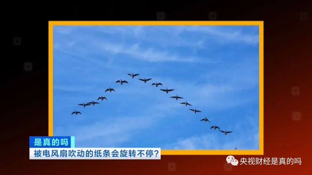 小真真|被电风扇吹动的纸条会旋转不停，是真的吗？