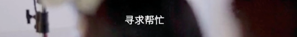 李艾|李艾不是没心没肺，她只是活得明白