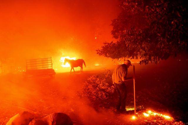 南加州|山火肆虐！雷暴、高温、疫情夹击下的加州何去何从？