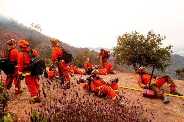 南加州|山火肆虐！雷暴、高温、疫情夹击下的加州何去何从？