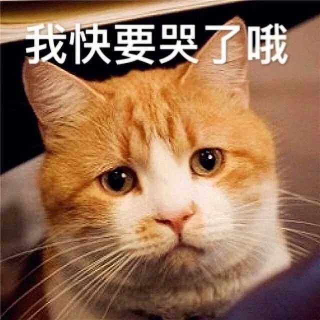 表情包老孃憑什麼認錯