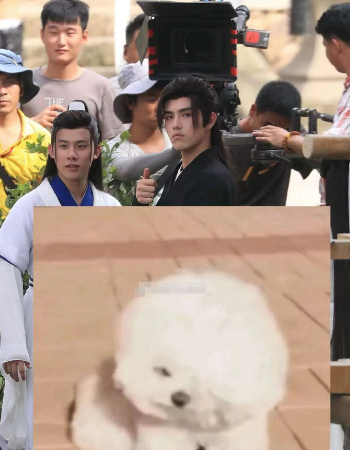 皓衣行|罗云熙《皓衣行》遭书迷抵制：他没补过天裂，不配说自己是楚晚宁