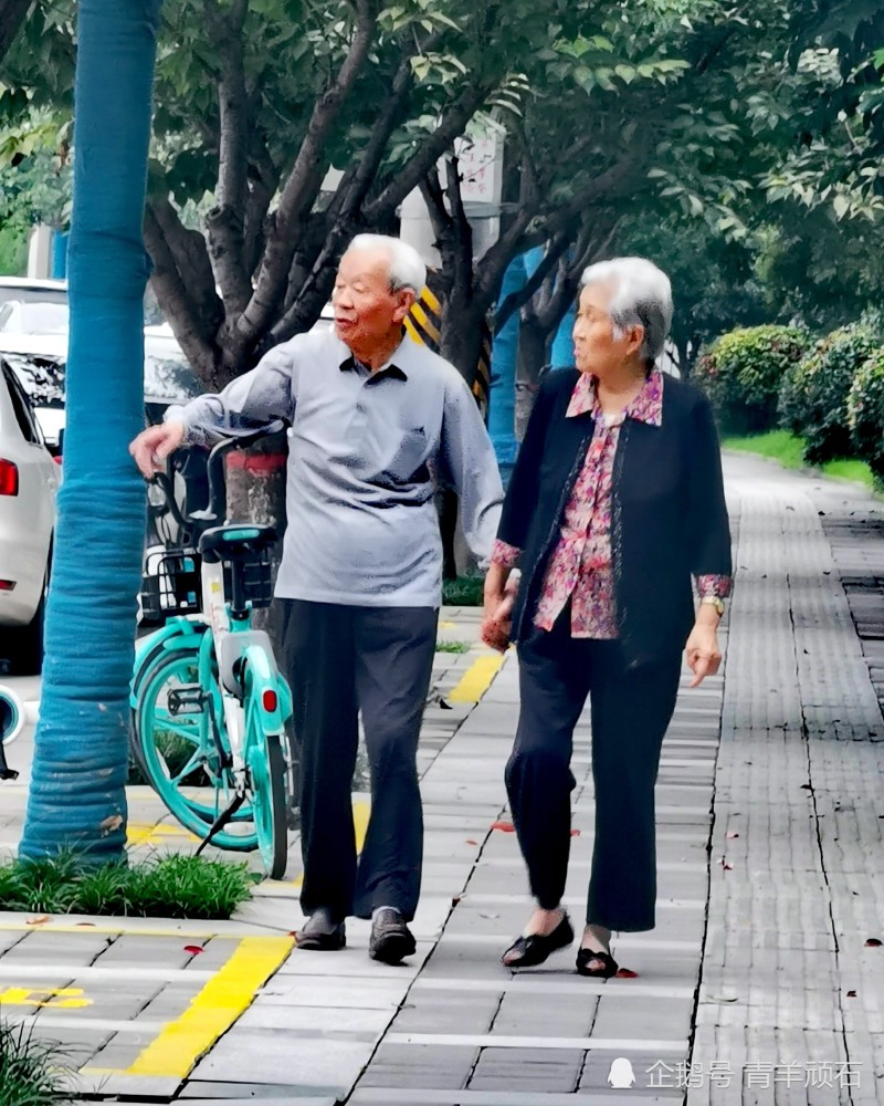 路旁一对手牵着手的幸福老人