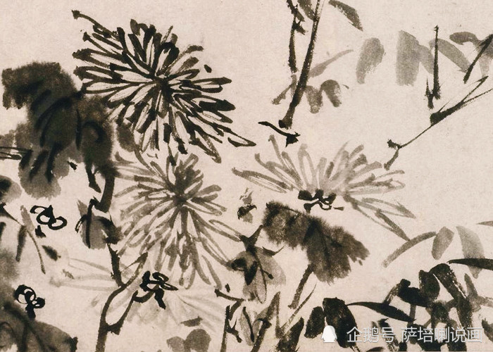 水墨菊花|陶生画菊石，潦草笔有力，明代画家陶成绘《水墨菊花》