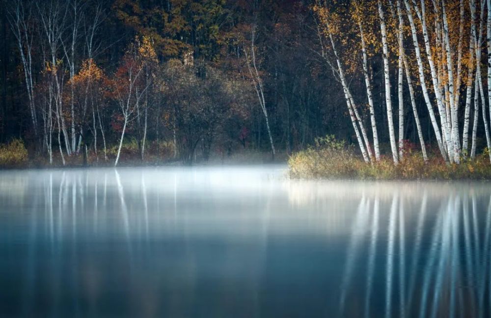 秋日|静坐听雨，方觉秋深