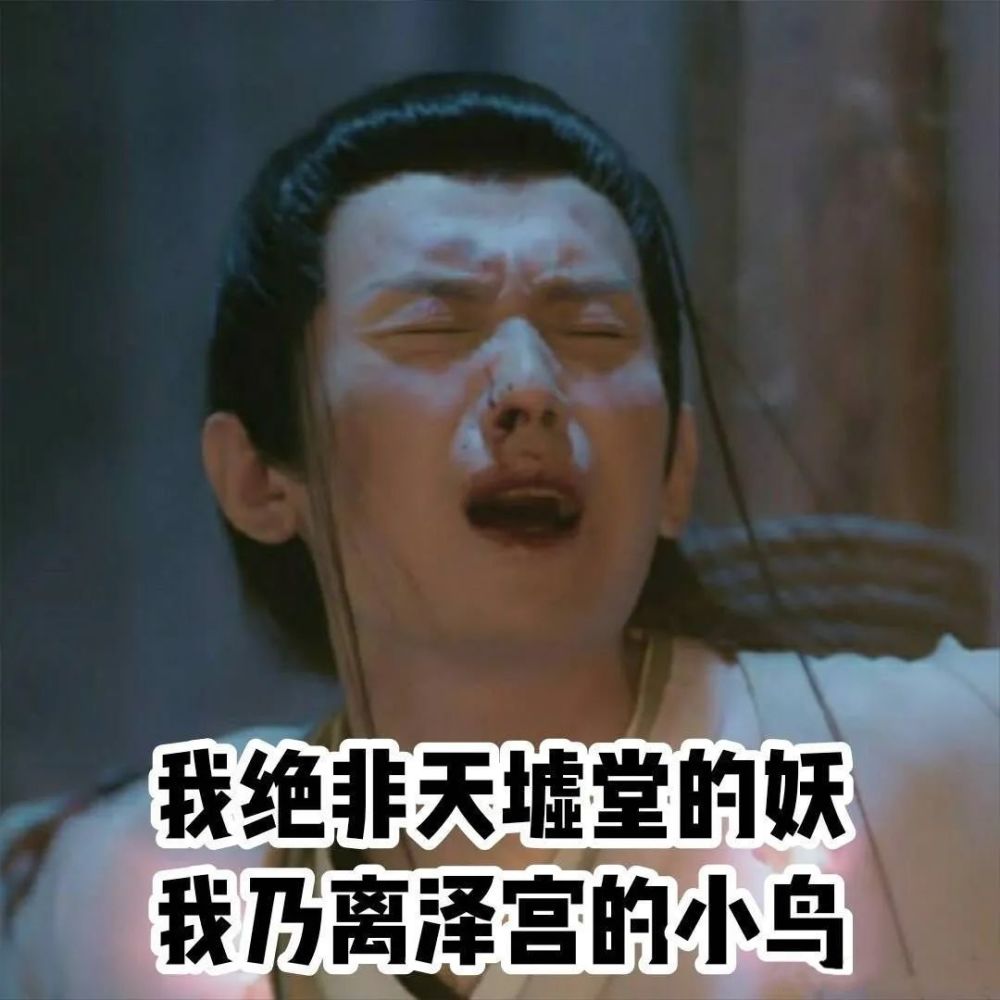 魔煞星|咋还希望剧情注水？
