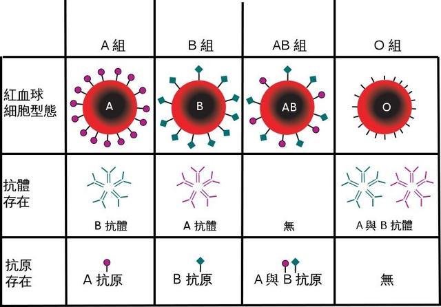 血型|O型血为什么被称为最无私的血型？