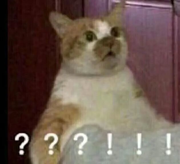 吴亦凡|不就是出个名，怎么就能拽成这样？！