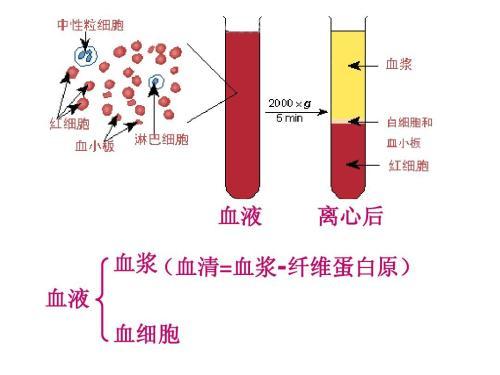 O型血为什么被称为最无私的血型 腾讯新闻