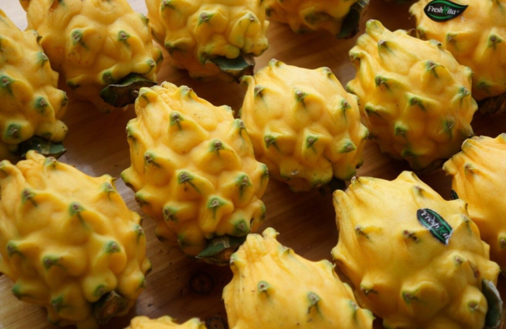 火龙果|火龙果中的贵族，高达100元一斤，以前靠进口，如今国内已引进