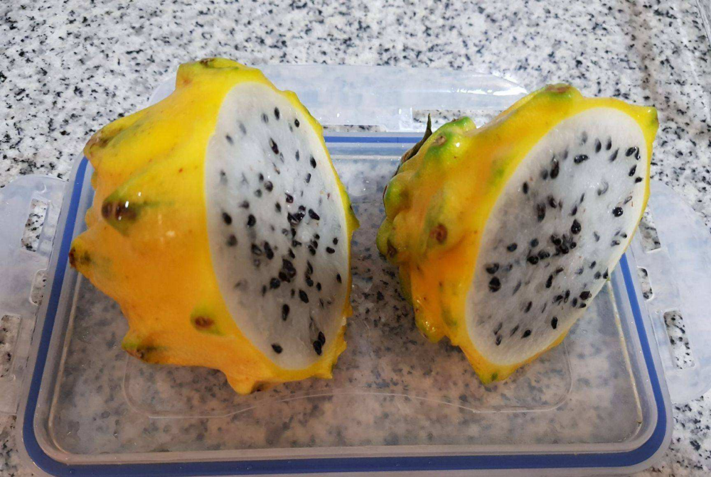 火龙果|火龙果中的贵族，高达100元一斤，以前靠进口，如今国内已引进