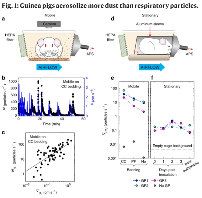病毒|首次证明！空气中的病毒完全可以通过灰尘和非呼吸性颗粒传播