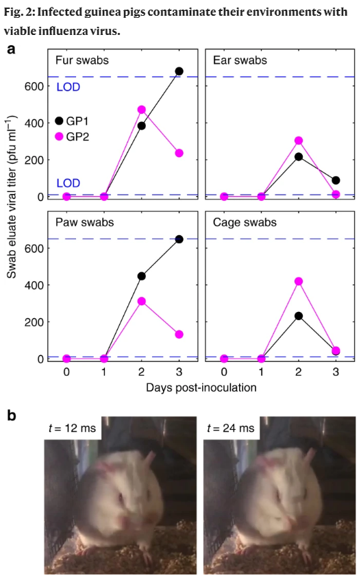 病毒|首次证明！空气中的病毒完全可以通过灰尘和非呼吸性颗粒传播