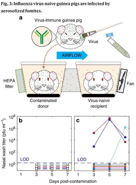 病毒|首次证明！空气中的病毒完全可以通过灰尘和非呼吸性颗粒传播