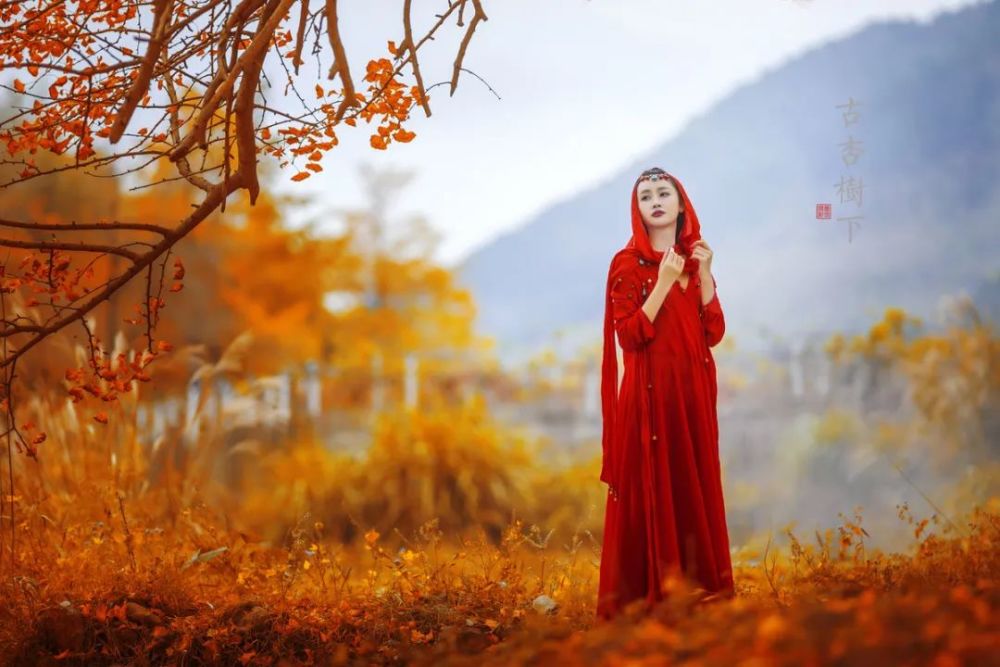 淡然相处默然相惜