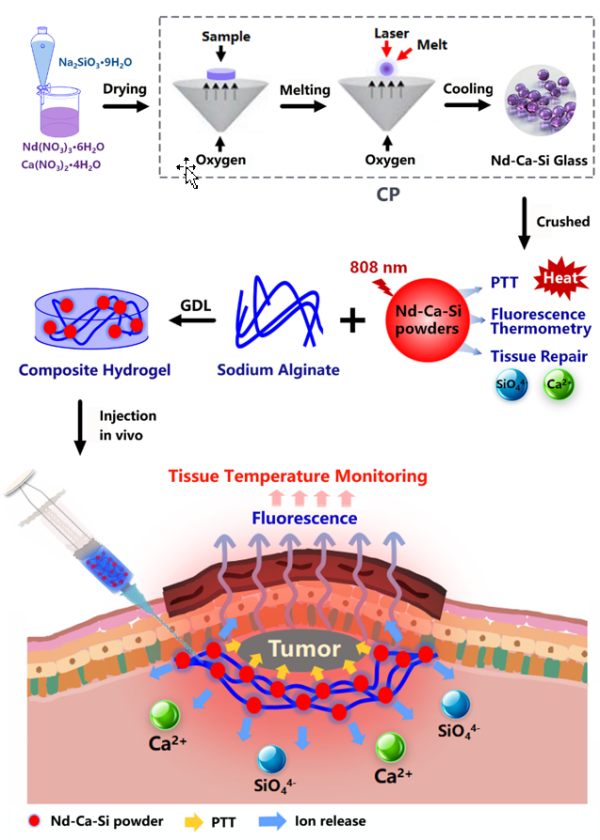 肿瘤|多功能新型生物活性玻璃材料研究获进展