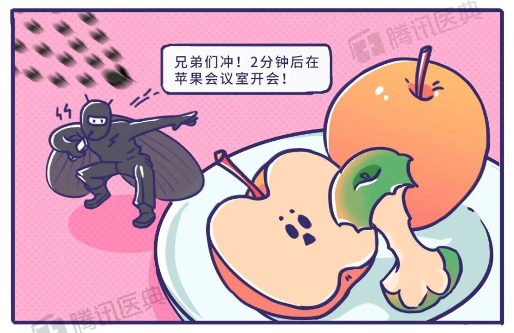 飞虫|家里总出现黑色小飞虫？别慌！教你几个处理绝招！