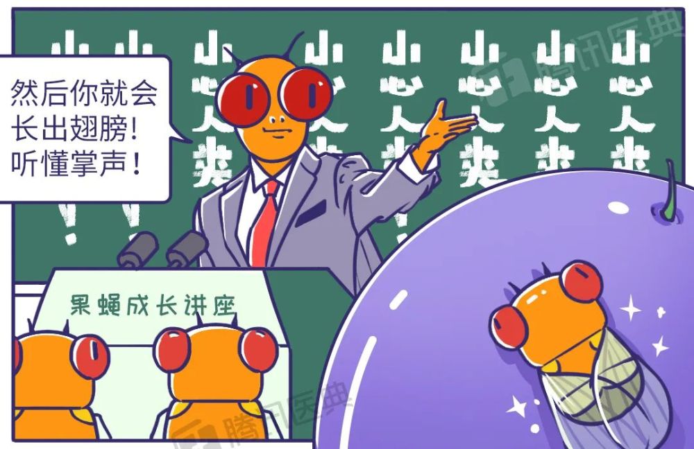 飞虫|家里总出现黑色小飞虫？别慌！教你几个处理绝招！