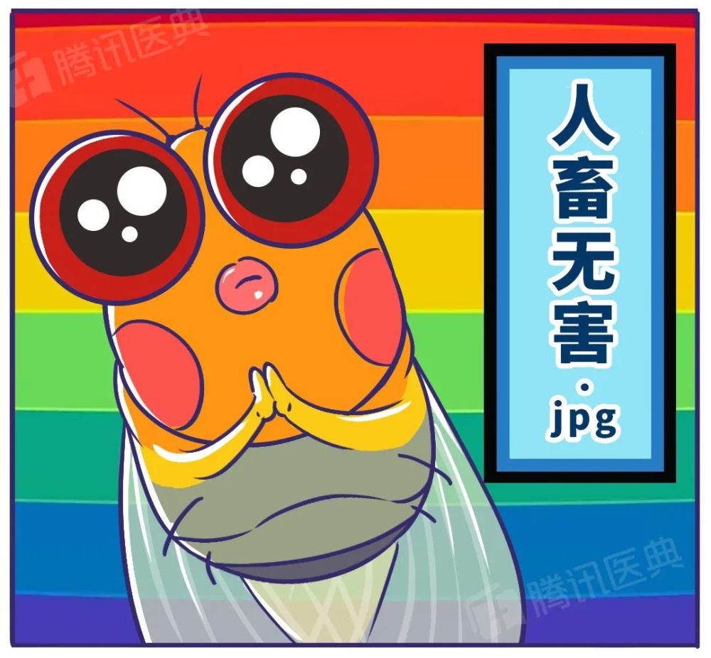 飞虫|家里总出现黑色小飞虫？别慌！教你几个处理绝招！