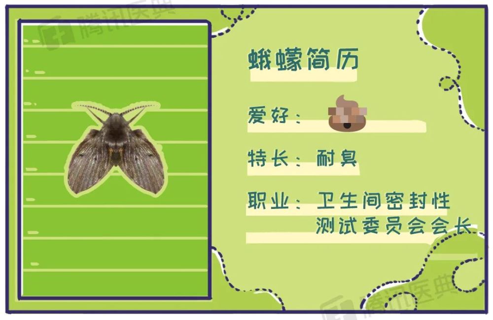 飞虫|家里总出现黑色小飞虫？别慌！教你几个处理绝招！
