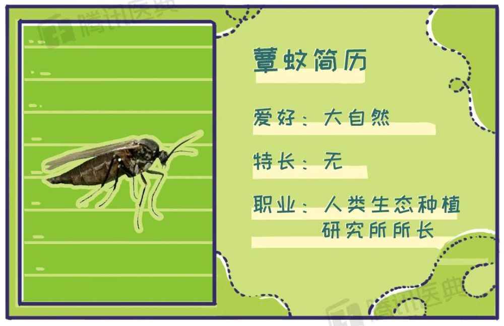 飞虫|家里总出现黑色小飞虫？别慌！教你几个处理绝招！