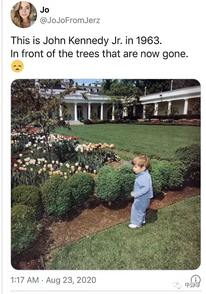 白宫|最惊艳对比照，特朗普一家这样改造了白宫