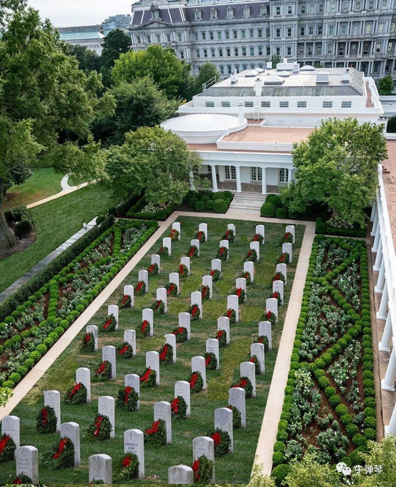 白宫|最惊艳对比照，特朗普一家这样改造了白宫