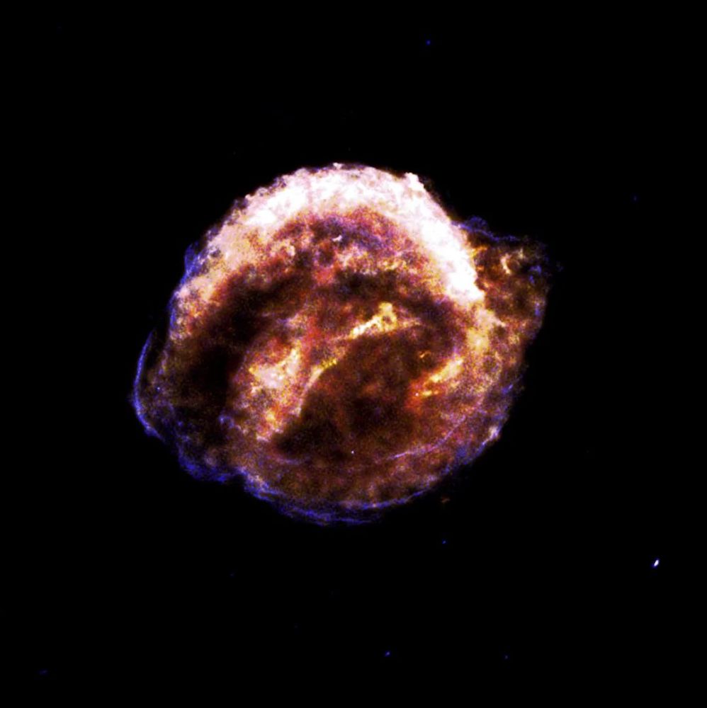 超新星|一颗恒星剧烈爆炸，轰出死亡之花！400年后仍在尽情绽放