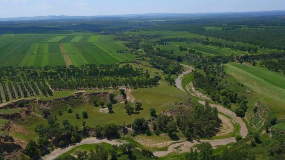 蒙东地区要有专业的葵花交易市场啦!