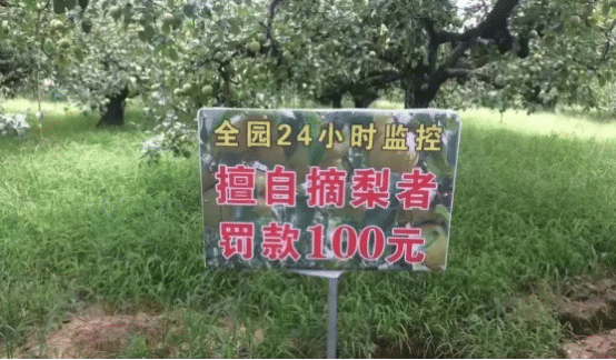 男生对我表白我没答应就把我删了他是不是有毛病哈哈哈网友内涵了