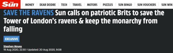 伦敦塔|伦敦塔“神鸟”疫情期间离家出走，英国国运“危在旦夕”？