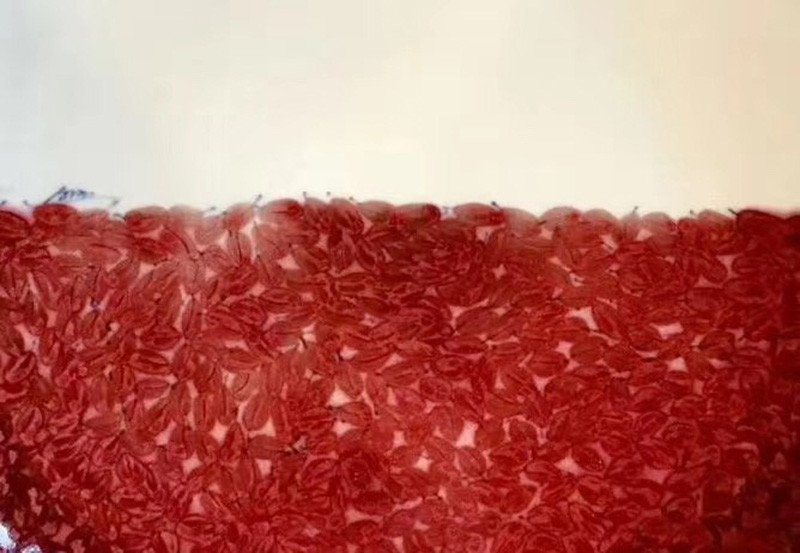 朗清园文集|一个人的河山：《朗清园文集》