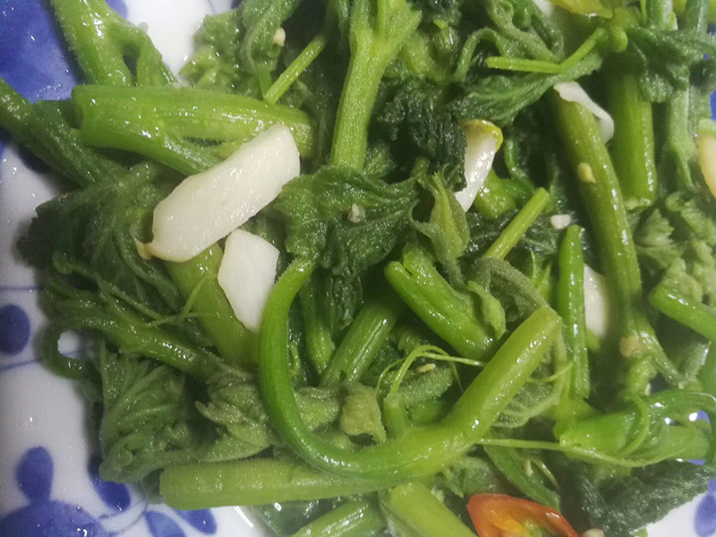 朗清园文集|一个人的河山：《朗清园文集》