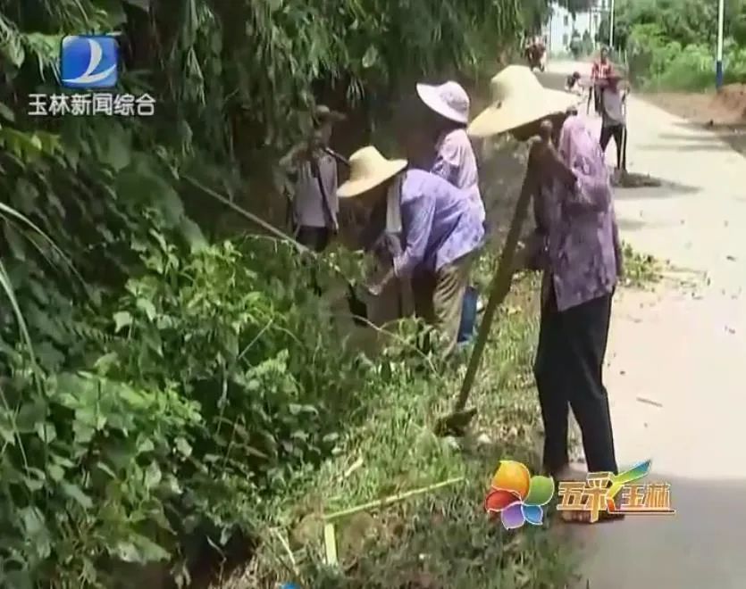 北流市沙垌镇图片