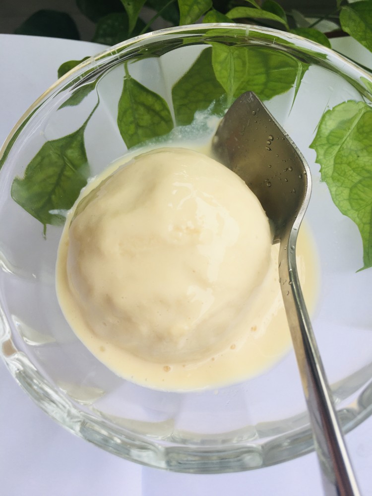 自制朗姆酒味无奶油冰淇淋,夏末好饮品,安全可口