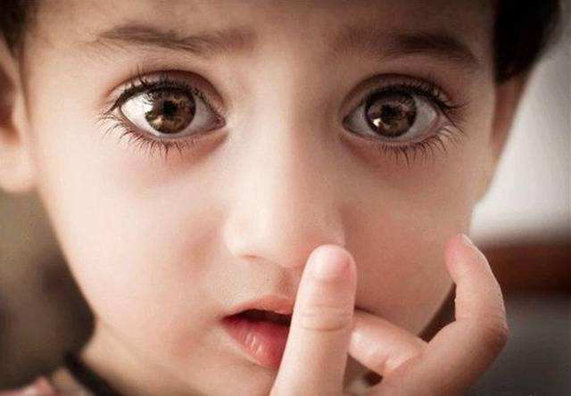 像素|15个冷知识：看起来或许很荒谬，但却真实存在于世界