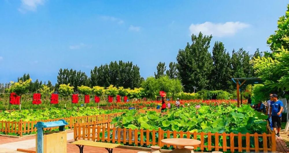 328座新增公园游园扮靓雄州来源:河北日报记者:吴安宁编辑:张天慧校对